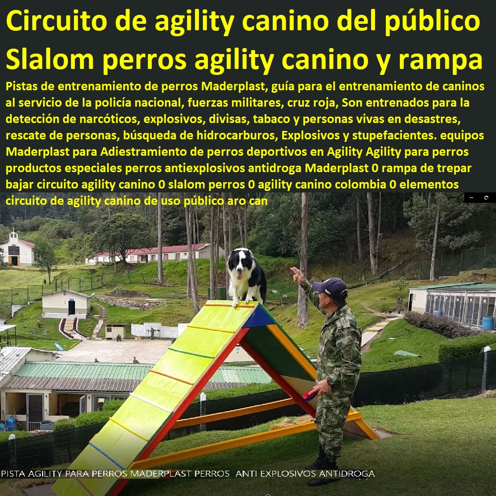 Agility para perros productos especiales perros antiexplosivos antidroga Maderplast 0 rampa de trepar bajar circuito agility canino 0 slalom perros 0 agility canino colombia 0 elementos circuito de agility canino de uso público aro can Agility para perros productos especiales perros antiexplosivos Novedades Plásticas Maderplast, Modernos Desarrollos en Plástico, Novedades y Productos Para Comercializar, Diseño Desarrollo de Productos en Plástico, Proyectos Innovadores en Plástico, Nuevas Tecnologías de Plásticos, Nuevos Productos Maderplast, antidroga Maderplast 0 rampa de trepar bajar circuito agility canino 0 slalom perros 0 agility canino colombia 0 elementos circuito de agility canino de uso público aro can